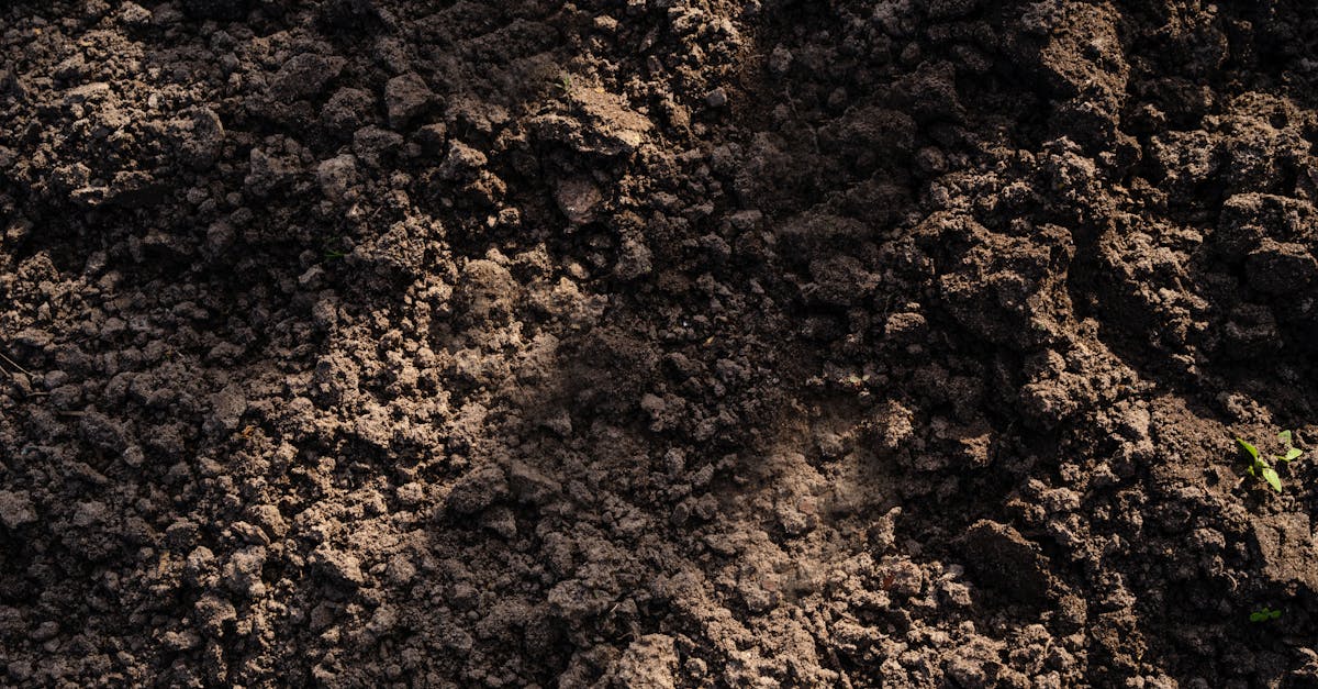 detailed view of freshly tilled soil perfect for planting in agriculture and gardening