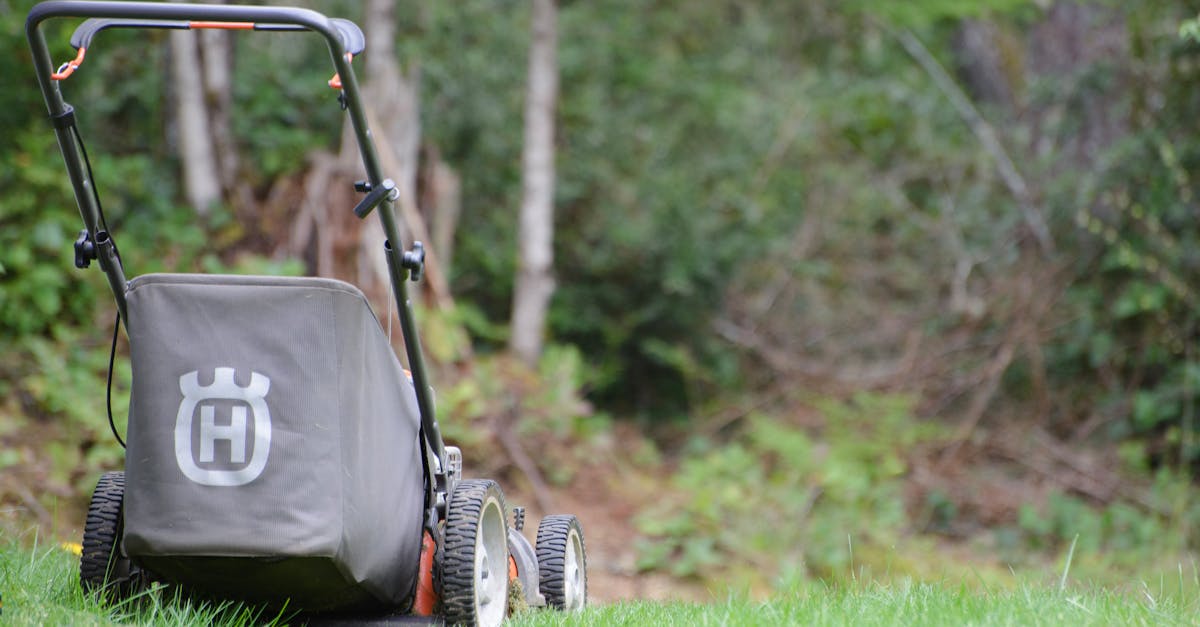 rear view of a lawn mower on a lush green lawn with a forest backdrop