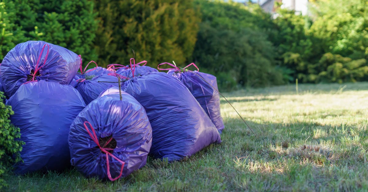 vibrant purple trash bags stacked in a sunlit garden setting ideal for spring clean up visuals